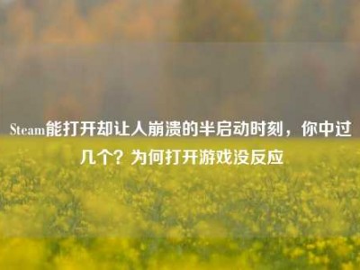 Steam能打开却让人崩溃的半启动时刻，你中过几个？为何打开游戏没反应