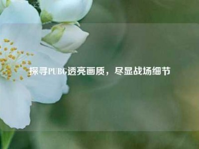 探寻PUBG透亮画质，尽显战场细节