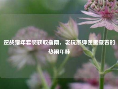 逆战猪年套装获取指南，老玩家弹匣里藏着的热闹年味