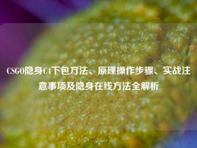 CSGO隐身C4下包方法、原理操作步骤、实战注意事项及隐身在线方法全解析