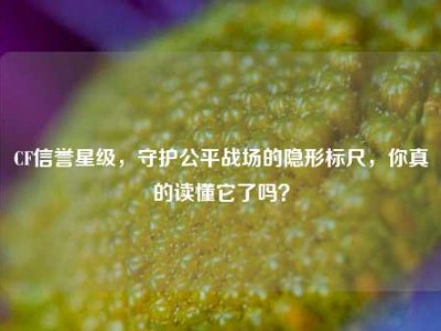 CF信誉星级，守护公平战场的隐形标尺，你真的读懂它了吗？