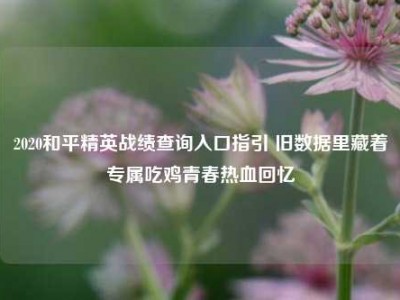 2020和平精英战绩查询入口指引 旧数据里藏着专属吃鸡青春热血回忆