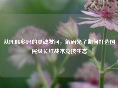 从PUBG多吗的灵魂发问，解码光子如何打造国民级长红战术竞技生态