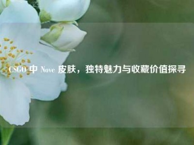 CSGO 中 Nove 皮肤，独特魅力与收藏价值探寻