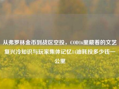 从弗罗林金币到战区空投，COD16里藏着的文艺复兴冷知识与玩家集体记忆14油耗投多少钱一公里