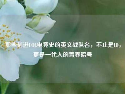 那些刻进LOL电竞史的英文战队名，不止是ID，更是一代人的青春暗号
