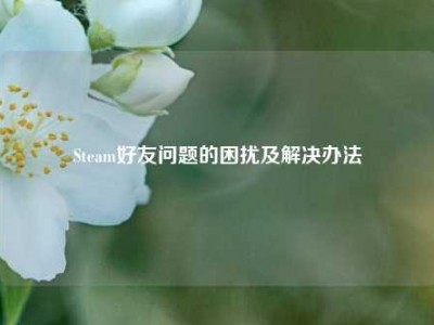 Steam好友问题的困扰及解决办法