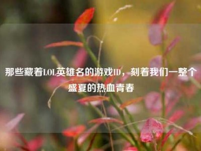 那些藏着LOL英雄名的游戏ID，刻着我们一整个盛夏的热血青春