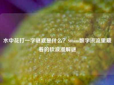 水中花打一字谜底是什么？Steam数字洪流里藏着的软浪漫解谜