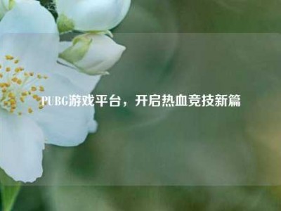 PUBG游戏平台，开启热血竞技新篇