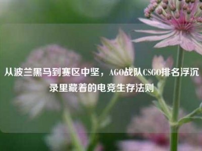 从波兰黑马到赛区中坚，AGO战队CSGO排名浮沉录里藏着的电竞生存法则