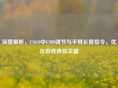 深度解析，CSGO中CMD调节与手臂长度指令，优化游戏体验关键