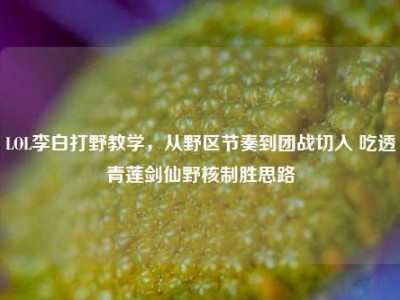 LOL李白打野教学，从野区节奏到团战切入 吃透青莲剑仙野核制胜思路