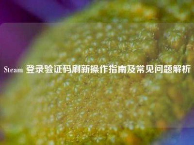 Steam 登录验证码刷新操作指南及常见问题解析