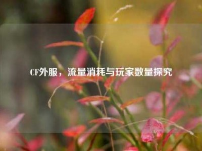 CF外服，流量消耗与玩家数量探究