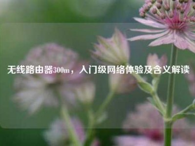 无线路由器300m，入门级网络体验及含义解读