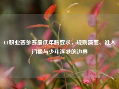 CF职业赛参赛最低年龄要求，规则演变、准入门槛与少年逐梦的边界