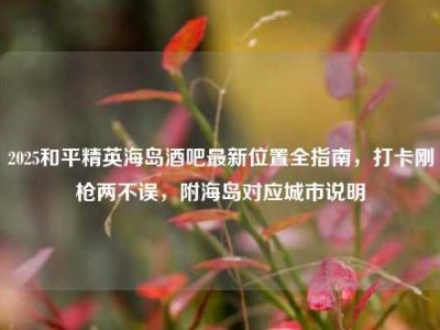 2025和平精英海岛酒吧最新位置全指南，打卡刚枪两不误，附海岛对应城市说明