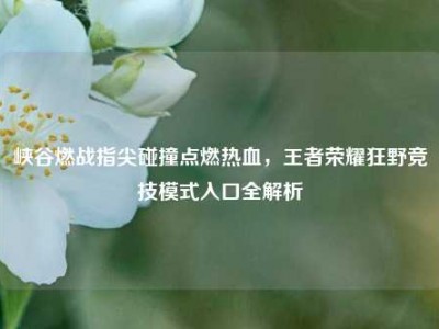 峡谷燃战指尖碰撞点燃热血，王者荣耀狂野竞技模式入口全解析