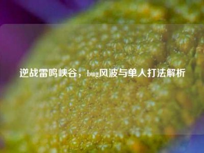 逆战雷鸣峡谷，bug风波与单人打法解析