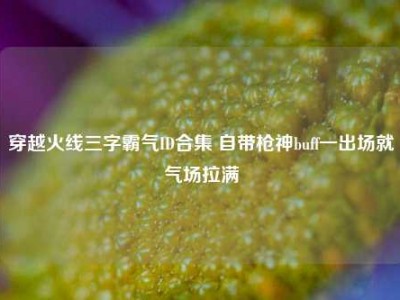 穿越火线三字霸气ID合集 自带枪神buff一出场就气场拉满
