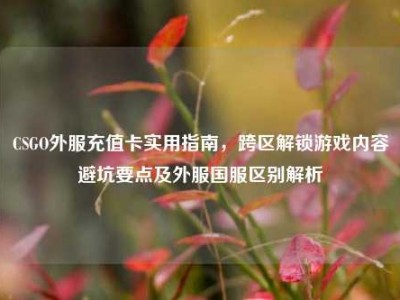 CSGO外服充值卡实用指南，跨区解锁游戏内容避坑要点及外服国服区别解析