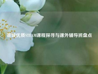 宣城优质STEAM课程探寻与课外辅导班盘点