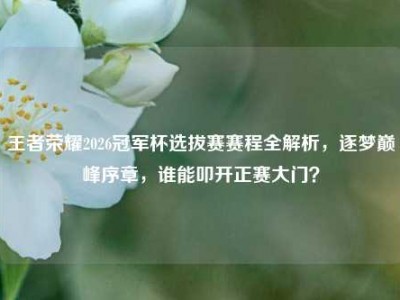 王者荣耀2026冠军杯选拔赛赛程全解析，逐梦巅峰序章，谁能叩开正赛大门？