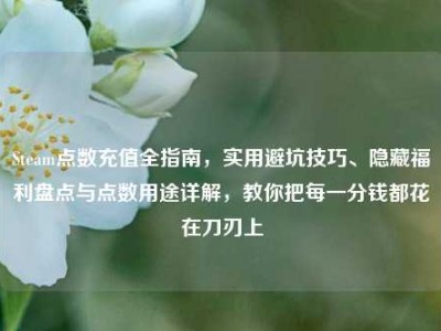 Steam点数充值全指南，实用避坑技巧、隐藏福利盘点与点数用途详解，教你把每一分钱都花在刀刃上
