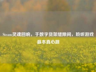 Steam灵魂回响，于数字货架缝隙间，聆听游戏最本真心跳