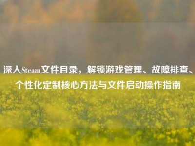 深入Steam文件目录，解锁游戏管理、故障排查、个性化定制核心方法与文件启动操作指南