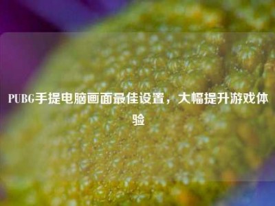 PUBG手提电脑画面最佳设置，大幅提升游戏体验