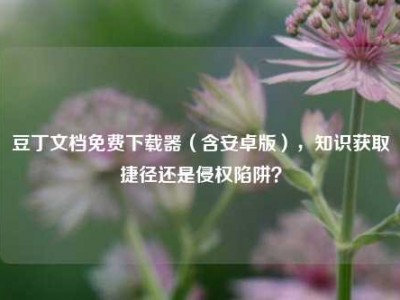 豆丁文档免费下载器（含安卓版），知识获取捷径还是侵权陷阱？