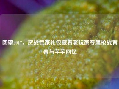 回望2017，逆战管家礼包藏着老玩家专属枪战青春与芊芊回忆