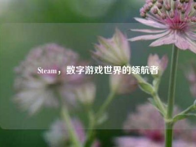 Steam，数字游戏世界的领航者