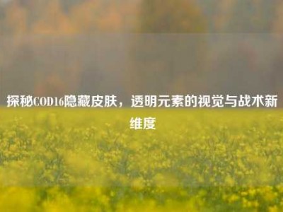探秘COD16隐藏皮肤，透明元素的视觉与战术新维度