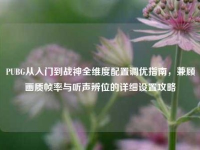 PUBG从入门到战神全维度配置调优指南，兼顾画质帧率与听声辨位的详细设置攻略