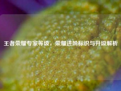 王者荣耀专家等级，荣耀进阶标识与升级解析