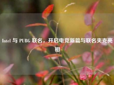 Intel 与 PUBG 联名，开启电竞新篇与联名夹克亮相