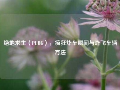 绝地求生（PUBG），疯狂炸车瞬间与炸飞车辆方法