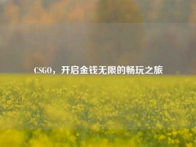 CSGO，开启金钱无限的畅玩之旅