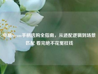 电脑Steam手柄选购全指南，从适配逻辑到场景匹配 看完绝不花冤枉钱