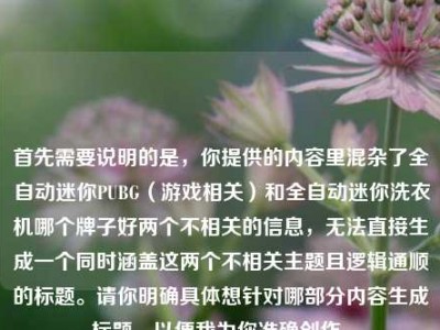 首先需要说明的是，你提供的内容里混杂了全自动迷你PUBG（游戏相关）和全自动迷你洗衣机哪个牌子好两个不相关的信息，无法直接生成一个同时涵盖这两个不相关主题且逻辑通顺的标题。请你明确具体想针对哪部分内容生成标题，以便我为你准确创作。