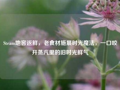 Steam地窖返鲜，老食材施展时光魔法，一口咬开蒸汽里的旧时光鲜气