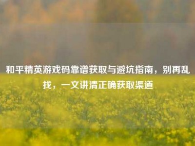 和平精英游戏码靠谱获取与避坑指南，别再乱找，一文讲清正确获取渠道