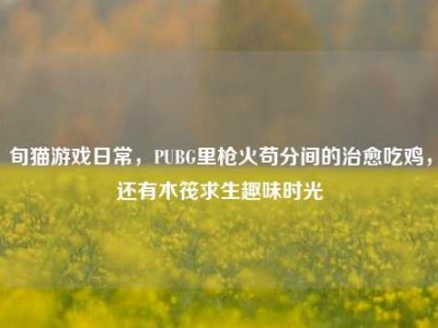 旬猫游戏日常，PUBG里枪火苟分间的治愈吃鸡，还有木筏求生趣味时光