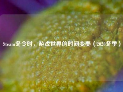 Steam冬令时，游戏世界的时间变奏（2020冬季）