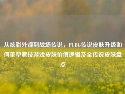 从炫彩外观到战场传说，PUBG传说皮肤升级如何重塑竞技游戏皮肤价值逻辑及全传说皮肤盘点