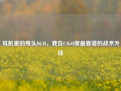 耳机里的甩头BGM，我在CSGO里最靠谱的战术外挂
