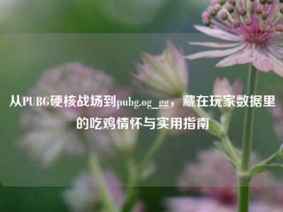 从PUBG硬核战场到pubg.og_gg，藏在玩家数据里的吃鸡情怀与实用指南